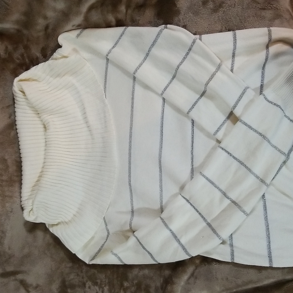 Ann Taylor Loft Sweater
